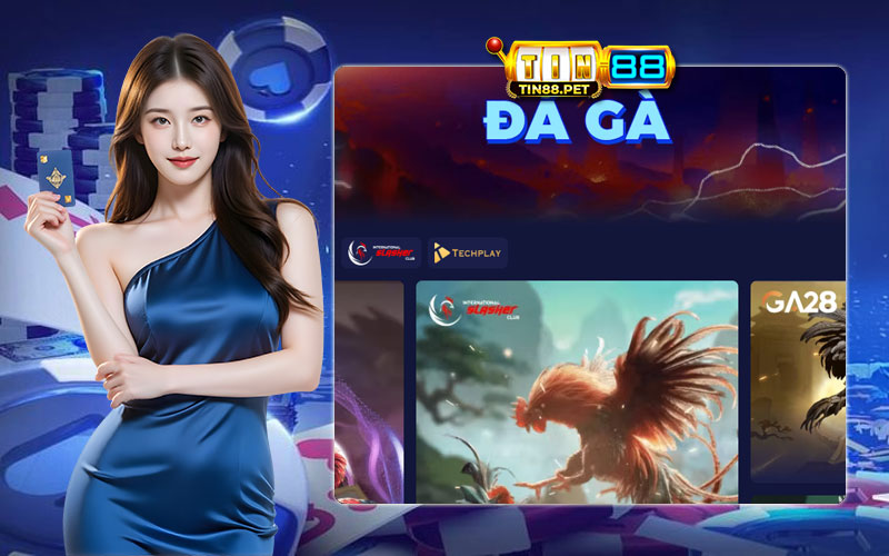 Nhà cái Tin88 có đến 4 sảnh chơi đá gà