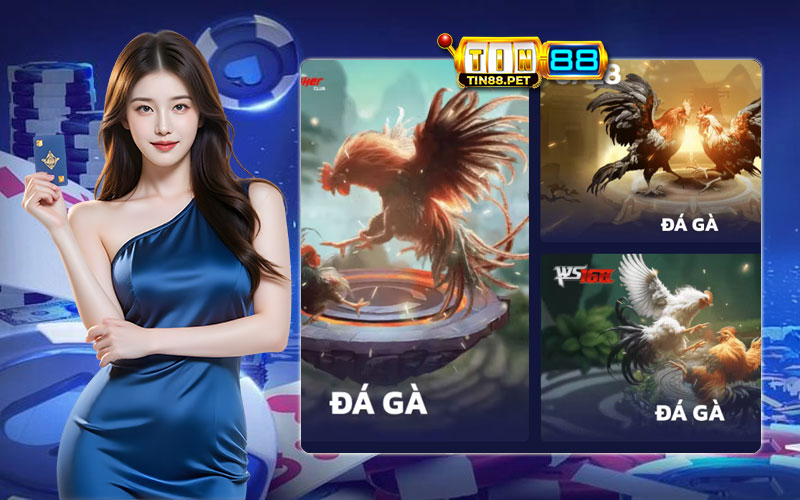 Bí kíp làm giàu từ gà chiến chưa ai nói bạn
